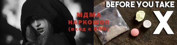 молекула духа Заполярный