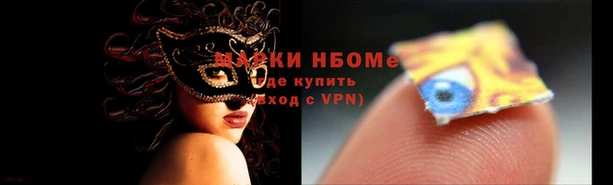 Альфа ПВП Белокуриха