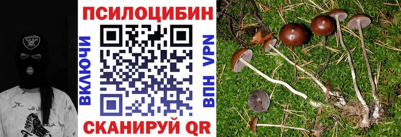 Псилоцибиновые грибы прущие грибы  Городовиковск 